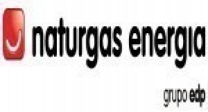 Naturgas Energia